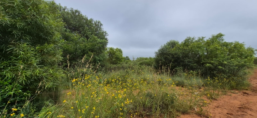 7 Bedroom Property for Sale in Groot Marico North West